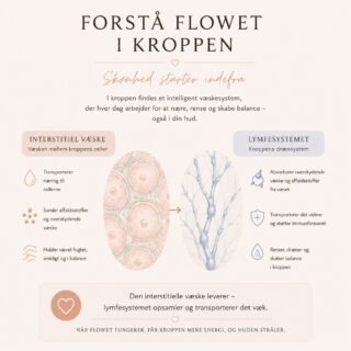 Kroppens flow spiller en større rolle for huden, end de fleste tror 🤍

Mange oplever hævelse, spændinger, træt hud eller en følelse af uro i kroppen — uden egentlig at tænke over, at det også kan hænge sammen med kroppens flow i vævet.

Mellem kroppens celler findes den interstitielle væske, som transporterer næring til cellerne og hjælper med at samle affaldsstoffer op 🤍

Lymfesystemet arbejder derefter med at dræne og transportere væsken videre, så kroppen kan skabe balance.

Når vi er stressede, trætte eller spændte, kan flowet stagnere.
Det kan ofte ses som puffiness, spændinger, tunghed eller hud, der mangler glød 🤍

Derfor arbejder mine behandlinger ikke kun på hudens overflade.
Gennem bl.a. kosmetisk akupunktur, specifikke massage-teknikker, lymfe-drænage og ro til nervesystemet arbejder jeg med vævet, cirkulationen og kroppens naturlige balance.

For mig handler skønhed ikke om at ændre ansigtet.
Det handler om at skabe bevægelighed, ro og flow — så huden kan stråle indefra.

Skønhed er ikke kun det, vi ser.
Det er også det, vi mærker 🤍

Nysgerrig på mine behandlinger?
Find dem via link i bio.

www.ambeautycare.dk

.
.
.
#japansklifting #massage #ansigtsbehandling #holistsiskhudpleje #stress
